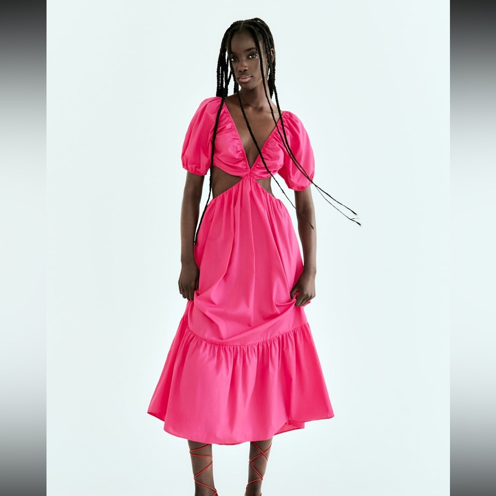 Zara Cut out Dress